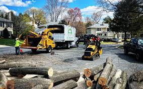 Trusted Dunnstown, PA  Tree Services Experts