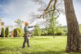 Best Tree Removal Service  in Dunnstown, PA