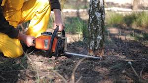 Best Emergency Tree Removal  in Dunnstown, PA